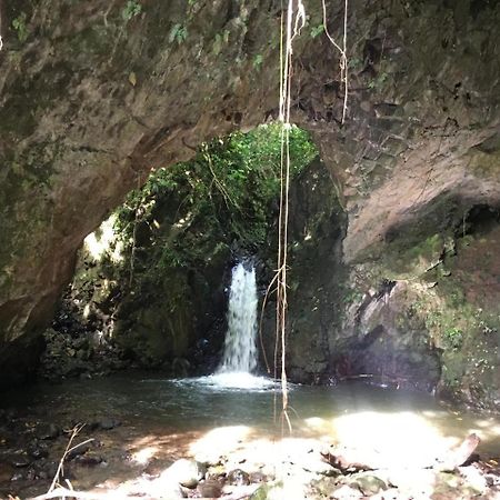 Roca Saudade Guest House Trindade Dış mekan fotoğraf