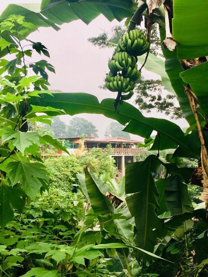 Roca Saudade Guest House Trindade Dış mekan fotoğraf