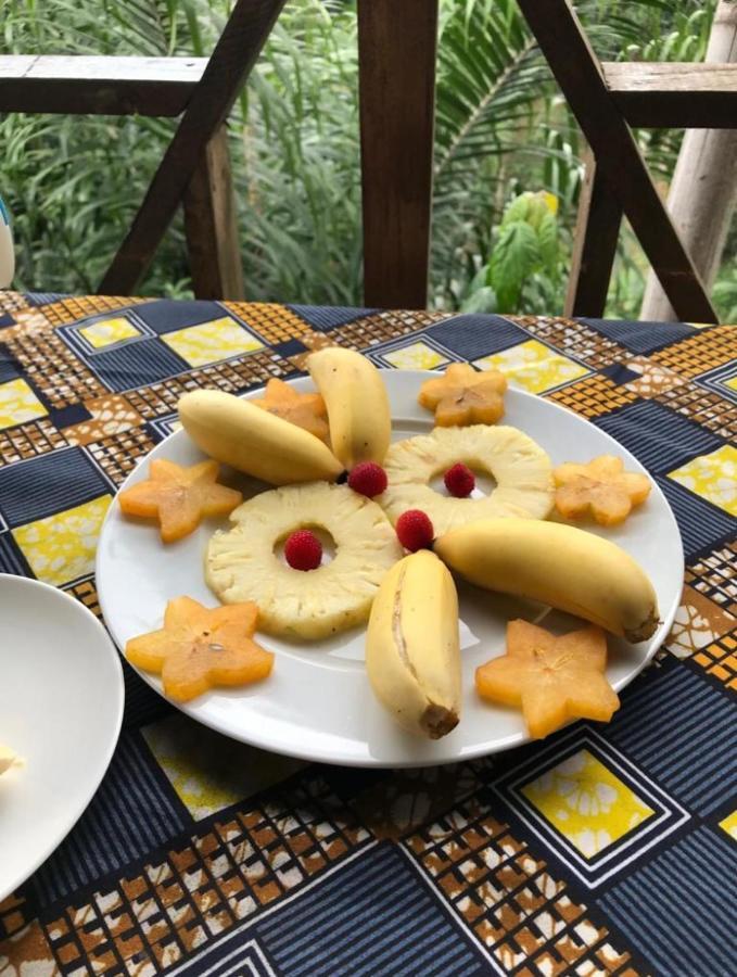 Roca Saudade Guest House Trindade Dış mekan fotoğraf